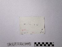 黃則修攝石碇溪流與街屋藏品圖，第2張