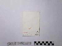 黃則修攝小巷口藏品圖，第2張