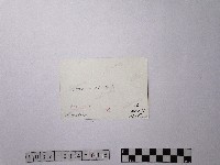 黃則修攝淡水洋館街口藏品圖，第2張