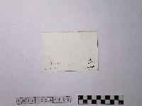 黃則修攝牛津學堂藏品圖，第2張