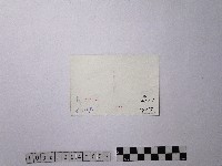 黃則修攝大直新景藏品圖，第2張