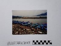 黃則修攝垃圾滿河藏品圖，第1張