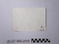 黃則修攝垃圾滿河藏品圖，第2張