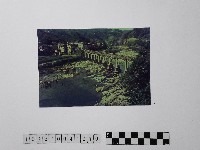 黃則修攝坪林老橋藏品圖，第1張