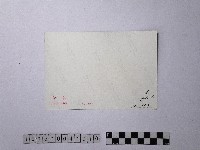 黃則修攝坪林老橋藏品圖，第2張