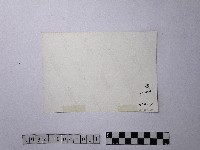 黃則修攝清流中的釣客1藏品圖，第2張