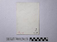 黃則修攝石碇山城藏品圖，第2張