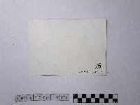 黃則修攝圓山飯店藏品圖，第2張