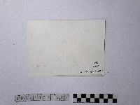 黃則修攝基隆河岸景緻藏品圖，第2張