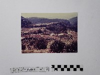 黃則修攝陽明山後山區的梯田藏品圖，第1張