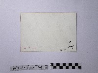 黃則修攝陽明山後山區的梯田藏品圖，第2張