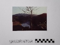 黃則修攝黃櫸皮寮潭藏品圖，第1張