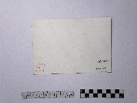 黃則修攝黃櫸皮寮潭藏品圖，第2張