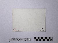 黃則修攝從黃櫸皮寮遠望坪林藏品圖，第2張