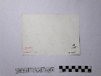 黃則修攝南勢溪澎湃的清流藏品圖，第2張