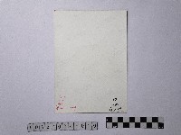 黃則修攝坪林尾山藏品圖，第2張