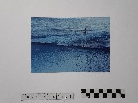 黃則修攝清流中的釣客2藏品圖，第1張