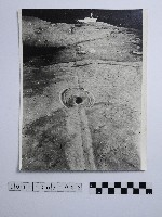 黃則修攝野柳地景藏品圖，第1張