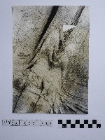 黃則修攝野柳地景藏品圖，第1張