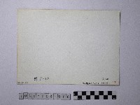 黃則修攝野柳地景藏品圖，第2張