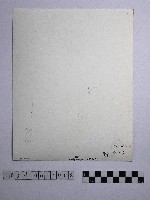 黃則修攝野柳地景藏品圖，第2張