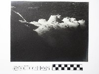 黃則修攝野柳地景燭臺石藏品圖，第1張