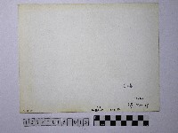 黃則修攝野柳地景燭臺石藏品圖，第2張