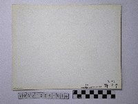 黃則修攝野柳地景藏品圖，第2張