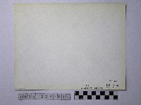 黃則修攝野柳地景藏品圖，第2張