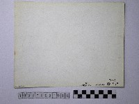 黃則修攝野柳地景藏品圖，第2張