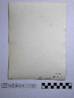 黃則修攝野柳地景藏品圖，第2張