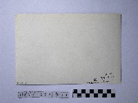 黃則修攝野柳地景藏品圖，第2張