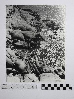 黃則修攝野柳地景藏品圖，第1張