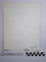 黃則修攝野柳地景藏品圖，第2張