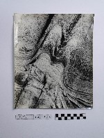 黃則修攝野柳地景藏品圖，第1張