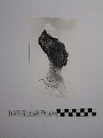 黃則修攝野柳地景女王頭藏品圖，第1張