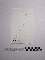 黃則修攝野柳地景女王頭藏品圖，第2張