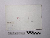 黃則修攝野柳地景燭臺石藏品圖，第2張