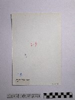 黃則修攝野柳地景藏品圖，第2張