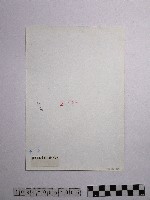 黃則修攝野柳地景藏品圖，第2張