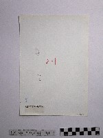 黃則修攝野柳地景藏品圖，第2張