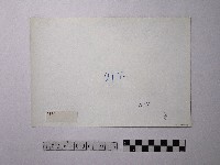 黃則修攝野柳地景藏品圖，第2張