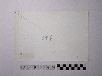 黃則修攝野柳地景藏品圖，第2張