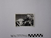 黃則修攝合歡主峰的冰貌藏品圖，第1張