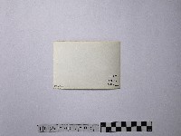 黃則修攝合歡主峰的冰貌藏品圖，第2張