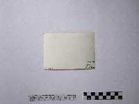 黃則修攝合歡雪坡與奇萊主峰藏品圖，第2張