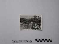 黃則修攝初貌乍現的見晴農場藏品圖，第1張