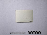 黃則修攝初貌乍現的見晴農場藏品圖，第2張