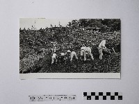 黃則修攝榮民入墾藏品圖，第1張