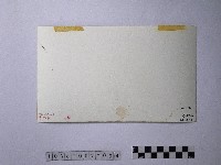 黃則修攝榮民入墾藏品圖，第2張